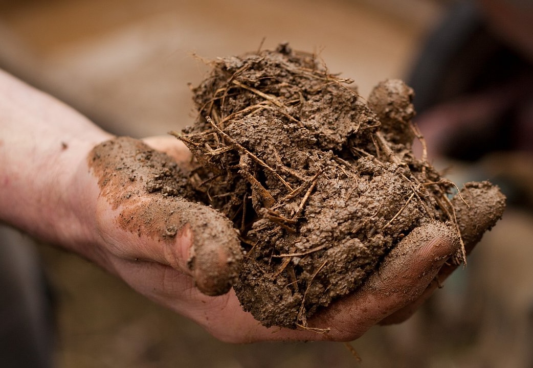 Lehmbau Handwerk – Nahaufnahme